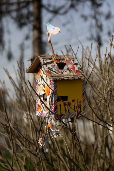 Shelter Nest Shelter Nest