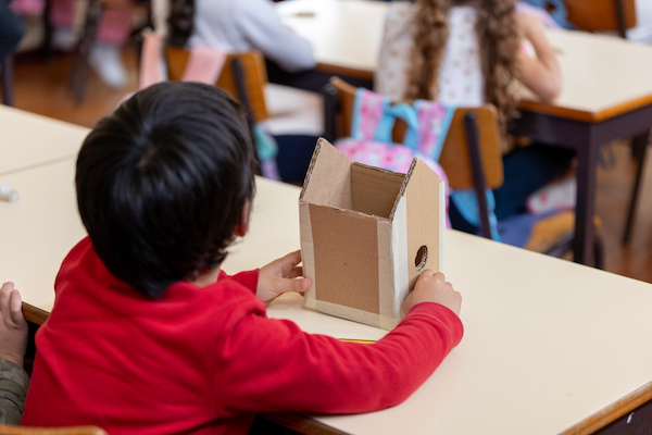 Ninho Abrigo Ninho Abrigo