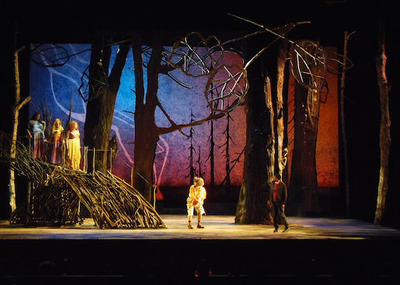 Puppetry Storytelling